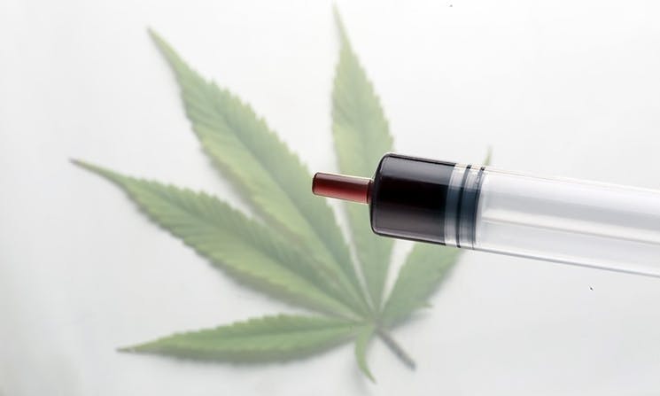 Canada Just Legalized Cannabis Oils and Edibles