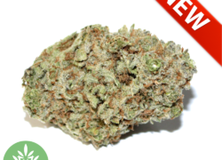 Sweet Diesel BUY 1oz get 1/2oz FREE