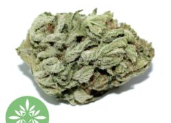 Blueberry