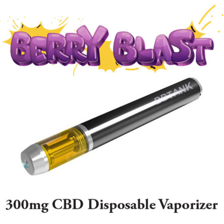 Berry Blast 300mg CBD Disposable Pen
