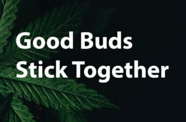 Refer A Friend Refer A Friend