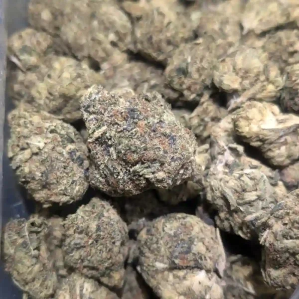 Pink Kush (AAA+++)