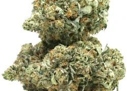 Pink Cookies Indica Marijuana Strain BUY 1oz get 1/2oz Free