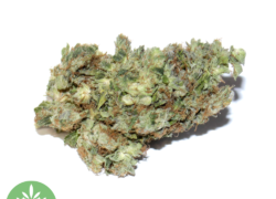Skywalker OG