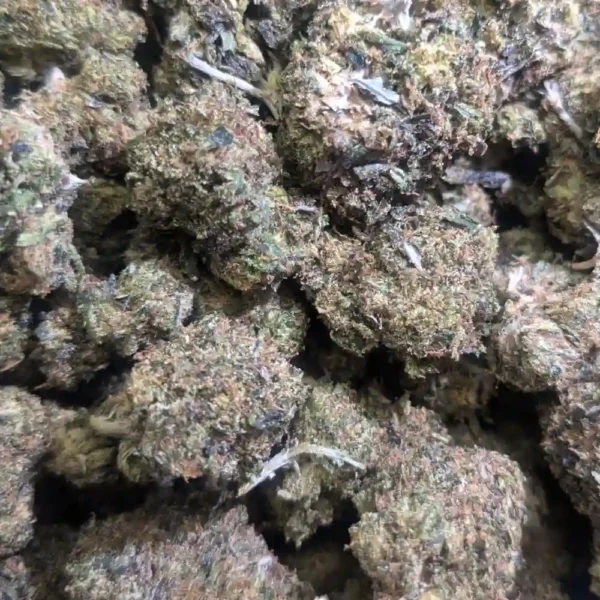 Mendo Breath (AAAA)