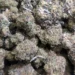 Mendo Breath (AAAA)