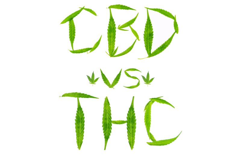 CBD vs. THC: What’s the difference?