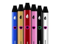 Leaf Buddi Pyramid Vape Kit