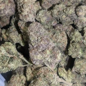 Blackberry Kush (AAA+++)