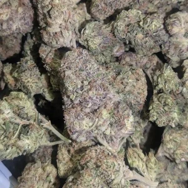 Blackberry Kush (AAA+++)