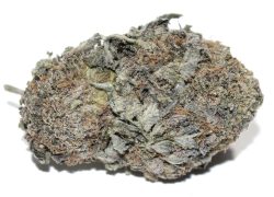 Wedding Cake Hybrid Marijuana Strain BUY 1oz get 1/2oz Free