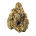 Pinkz Marijuana Strain Sativa Hybrid