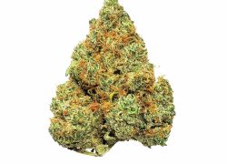 Viper (Sativa Hybrid) BUY 1oz get 1/2oz FREE