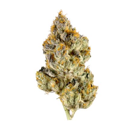White Tahoe Cookies Indica Marijuana Strain (AAA)