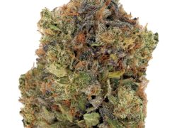 Hi-Octane Hybrid Marijuana Strain BUY 1oz get 1oz Free