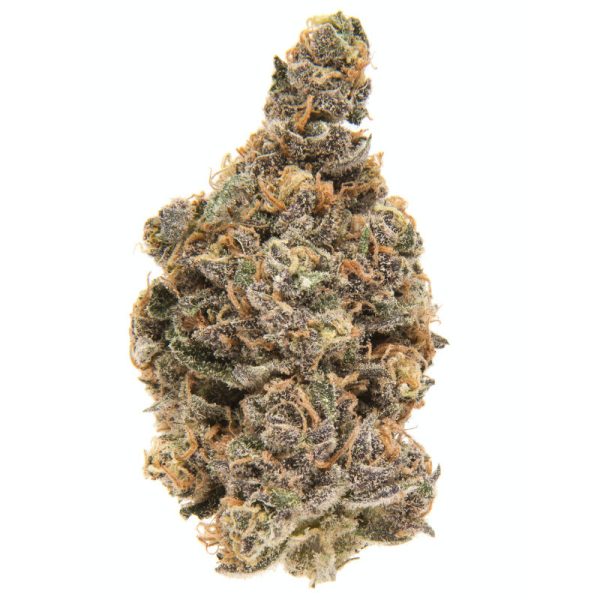 Blueberry Muffin (AAAA)