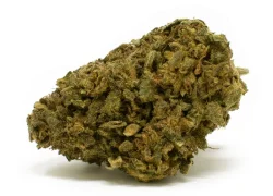 BC Bud (Sativa Hybrid) BUY 1oz get 1oz Free