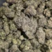 Black Cherry Punch (AAA+++)