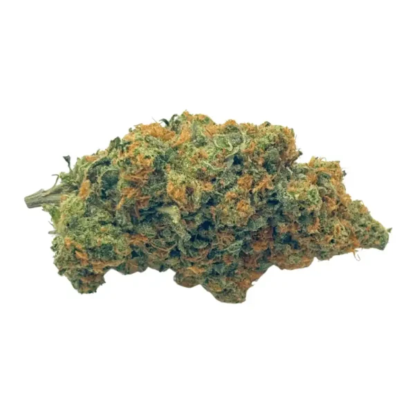 Close-up of an Alien Gorilla cannabis bud with dense green leaves, bright orange pistils, and a frosty coating of trichomes.