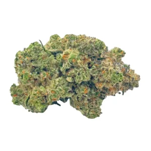 Close-up of Animal Face cannabis strain buds, vibrant green with orange hairs and frosty amber trichomes.