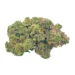 Animal Face (Craft Quality Sativa AAAA+)