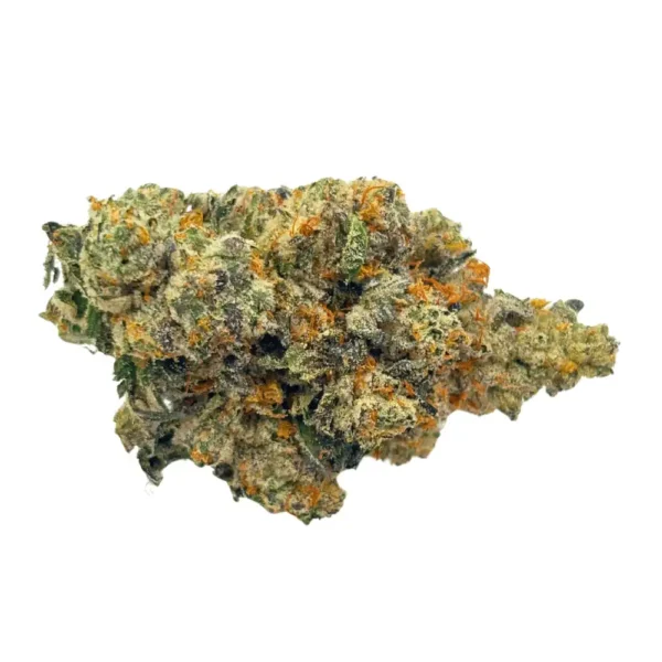 Close-up of Black Cherry OG cannabis bud with purple hues, orange pistils, and frosty trichomes.