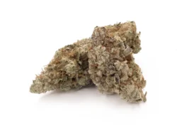 Death Punch (AAA+++)