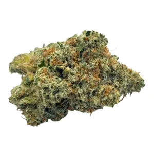 Close-up of Donkey Budder cannabis strain buds, olive-green with amber hairs and frosty golden trichomes.