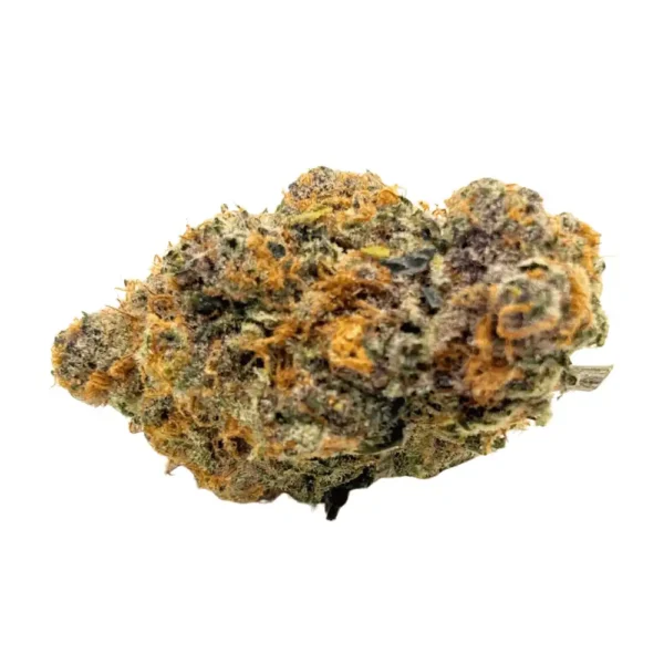 Grease Monkey Craft cannabis bud with dark green and purple tones, orange hairs, and thick resin coating.