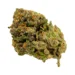Tropicana Cookies Sativa (AAAA)