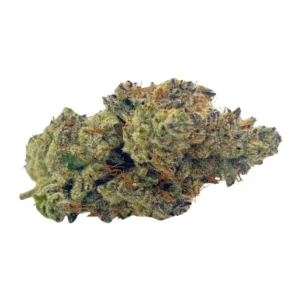 Close-up of Blue Lobster Craft cannabis bud with blue-purple hues, orange pistils, and frosty trichomes.