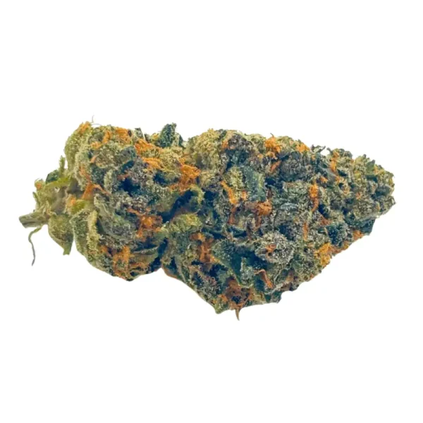 Close-up of Sunset Sherbet cannabis bud with purple hues, orange pistils, and frosty trichomes.