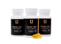 100mg THC and 10mg Melatonin Capsules 10 Softgels – ONE LIFE