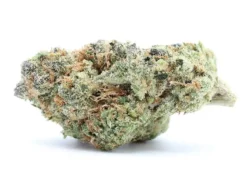 Animal Cookies Marijuana Strain (AAA+) Indica