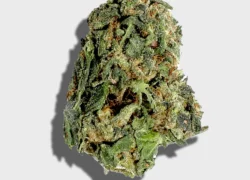 Dante’s Inferno (Indica) BUY 1oz get 1/2oz FREE