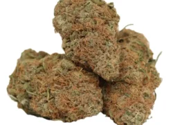 Chocolate OG Marijuana Strain (AAA+) Indica