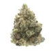 Donny Burger Indica Marijuana Strain BUY 1oz get 1/2oz Free