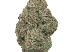 Critical Mass Indica Marijuana Strain