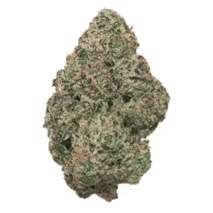 Critical Mass Indica Marijuana Strain