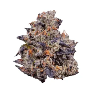 Lemon Cherry Gelato Indica Marijuana Strain