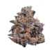 Lemon Cherry Gelato Indica Marijuana Strain
