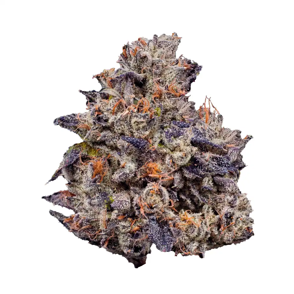 Lemon Cherry Gelato Indica Marijuana Strain