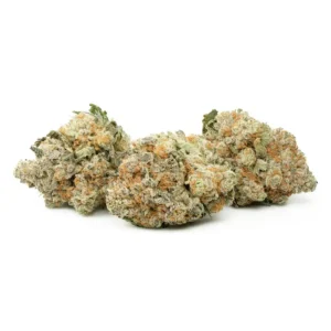 Orange Valley OG Sativa Marijuana Strain