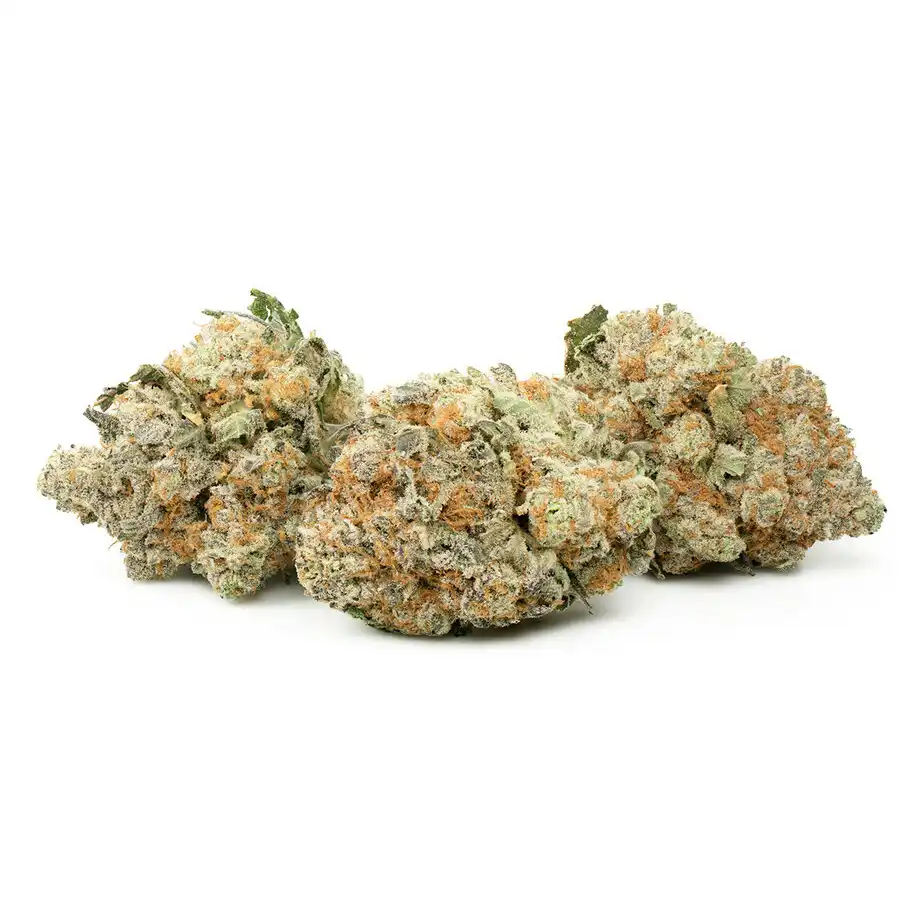 Orange Valley OG Sativa Marijuana Strain