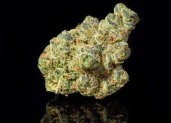 Apple Fritter – Hybrid Cannabis Flower | QUAD (AAAA Smalls)